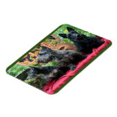 Magnet Flexible Ne regardera pas (Côté Gauche)