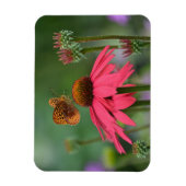 Magnet Flexible Nectar de collecte des papillons (Vertical)