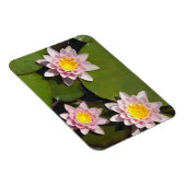 Magnet Flexible Nénuphars (Côté Droit)