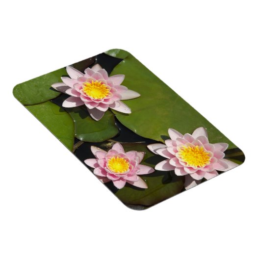 Magnet Flexible Nénuphars (Côté Droit)