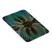 Magnet Flexible Neon Amaryllis (Côté Droit)