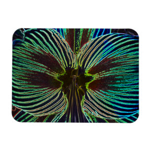Magnet Flexible Neon Amaryllis