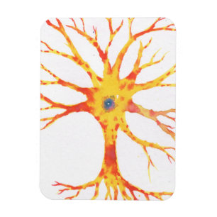 Magnet Flexible Neuron