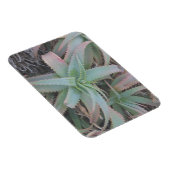 Magnet Flexible Nevada succulents (Côté Droit)