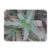 Magnet Flexible Nevada succulents (Horizontal)