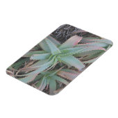 Magnet Flexible Nevada succulents (Côté Gauche)