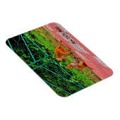 Magnet Flexible New Delhi, Inde (Côté Droit)