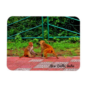 Magnet Flexible New Delhi, Inde