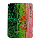 Magnet Flexible New Delhi, Inde (Vertical)