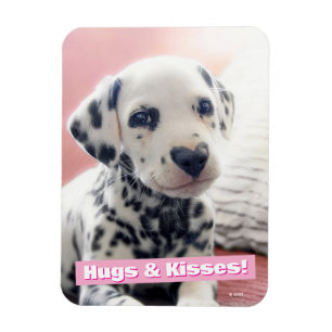 Magnet Flexible Nez de cœur de dalmatien