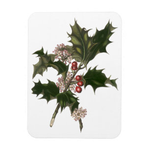 Magnet Flexible Noël vintage, plante de houx vert avec baies