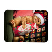 Magnet Flexible Nog d'oeuf de chat (Horizontal)