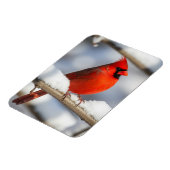 Magnet Flexible Northern Cardinal (Côté Gauche)