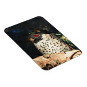 Magnet Flexible Northern Flicker - Spots (Côté Droit)