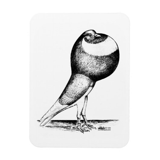 Magnet Flexible Norwich Cropper 1980 (Vertical)