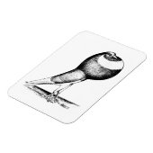 Magnet Flexible Norwich Cropper 1980 (Côté Gauche)