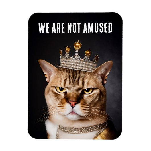 Magnet Flexible Nous Ne Sommes Pas Amusés À Porter Un Chat Grumpy (Vertical)