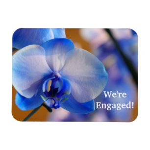 Magnet Flexible Nous sommes engagés ! Aimant flexible