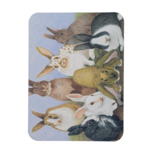 Magnet Flexible Nous sommes toutes les oreilles