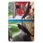 Magnet Flexible Nouveaux contacts avec l'aimant (Vertical)