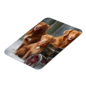 Magnet Flexible Nouvelle-Écosse Duck Toller Retriever Snowden (Côté Gauche)