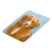 Magnet Flexible Nouvelle-Écosse Peinture de chien pour l'essayeur  (Côté Gauche)