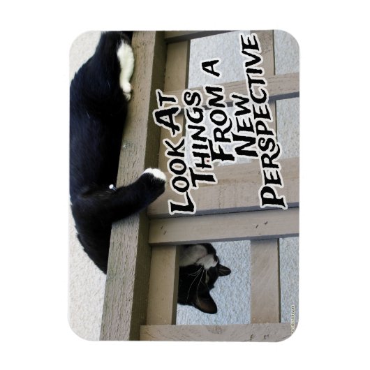 Magnet Flexible Nouvelle perspective (Vertical)