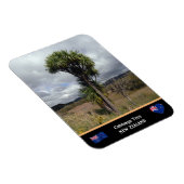 Magnet Flexible Nouvelle-Zélande - Cabbage Tree, Voyage / Wilderne (Côté Droit)