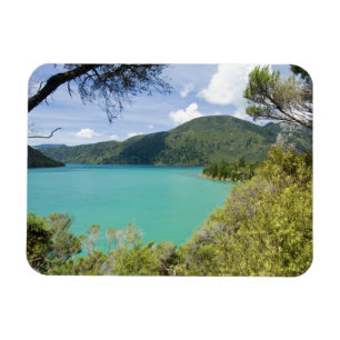 Magnet Flexible Nouvelle-Zélande, île du Sud, Marlborough Sounds.