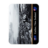 Magnet Flexible Nouvelle-Zélande, Kelp Coast - Curio Bay /Les Catl (Vertical)