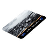 Magnet Flexible Nouvelle-Zélande, Kelp Coast - Curio Bay /Les Catl (Côté Gauche)