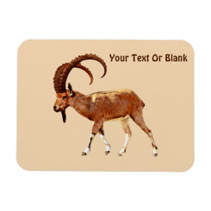 Magnet Flexible Nubian Ibex - Ein Gedi