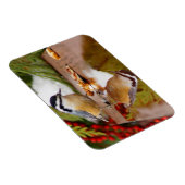 Magnet Flexible Nuthatch à poitrine rouge (Côté Droit)