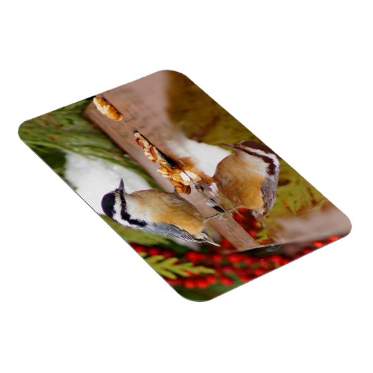 Magnet Flexible Nuthatch à poitrine rouge (Côté Droit)