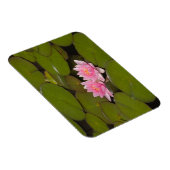 Magnet Flexible Nymphéas en fleurs (Côté Droit)