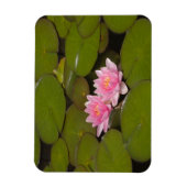 Magnet Flexible Nymphéas en fleurs (Vertical)