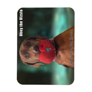 Magnet Flexible Obey le Casquette Chewy Vizsla