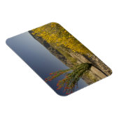 Magnet Flexible Ocotillo et senné du désert (Côté Droit)