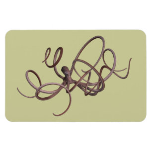 Magnet Flexible Octopus géant