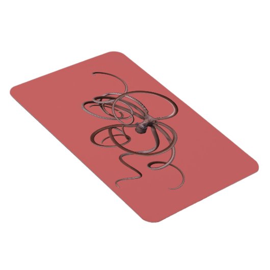 Magnet Flexible Octopus géant (Côté Droit)
