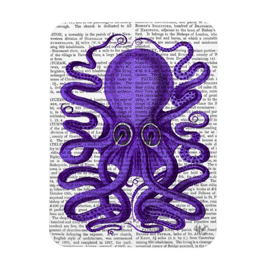 Magnet Flexible Octopus pourpre (Vertical)