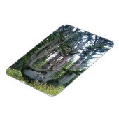 Magnet Flexible Octopus Tree, Cape Meares, Oregon (Côté Gauche)