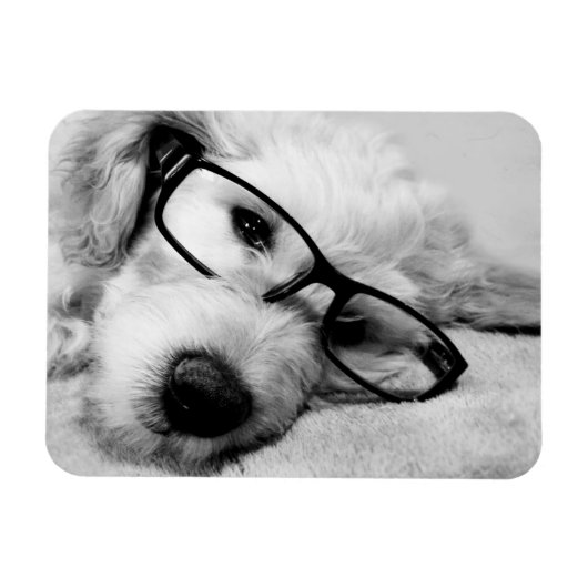 Magnet Flexible Odoré Avec Lunettes (Horizontal)