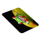 Magnet Flexible Oeil rouge Treefrog, Agalychinis callidryas, autoc (Côté Droit)