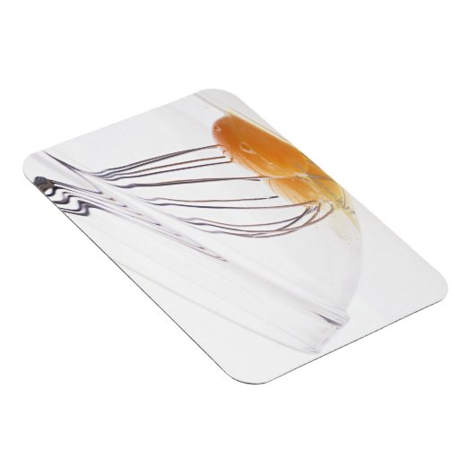 Magnet Flexible Oeuf (Côté Droit)