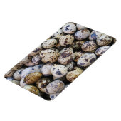 Magnet Flexible Oeufs de caille (Côté Gauche)