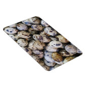 Magnet Flexible Oeufs de caille (Côté Droit)