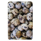 Magnet Flexible Oeufs de caille (Vertical)