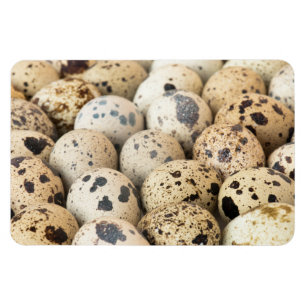 Magnet Flexible Oeufs de caille