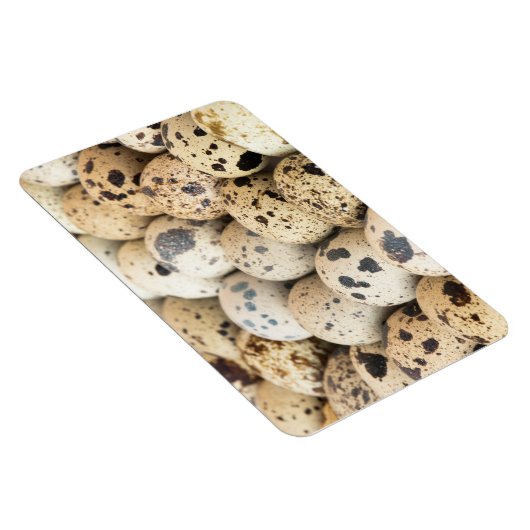 Magnet Flexible Oeufs de caille (Côté Droit)